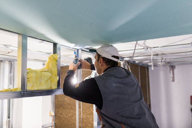 Best Residential Insulation in Woodland Park, CO